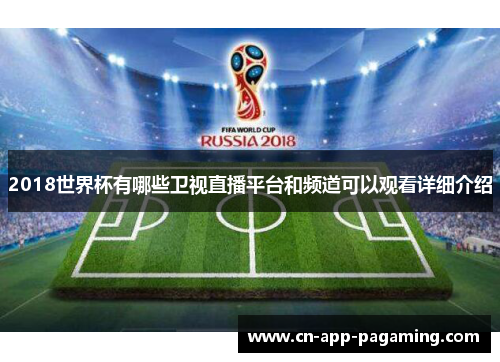 2018世界杯有哪些卫视直播平台和频道可以观看详细介绍