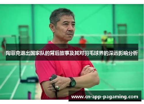 陶菲克退出国家队的背后故事及其对羽毛球界的深远影响分析