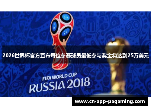 2026世界杯官方宣布每位参赛球员最低参与奖金将达到25万美元